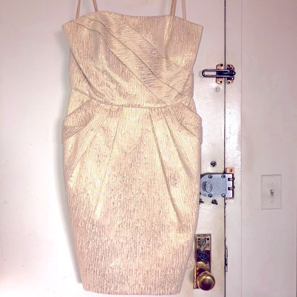 Max & Cleo Dresses & Skirts - Max and Cleo Cocktail Dress New/NWT